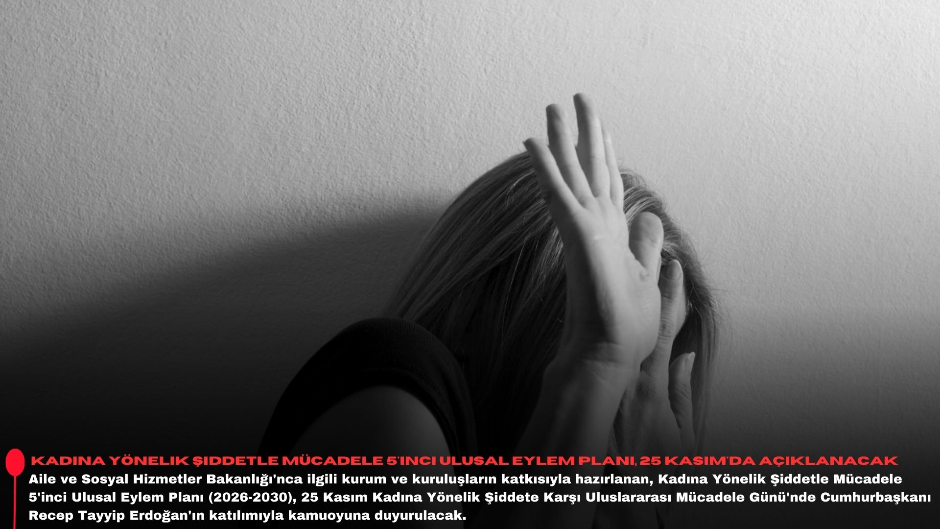 Kadına Yönelik Şiddetle Mücadele 5'inci Ulusal Eylem Planı, 25 Kasım'da açıklanacak