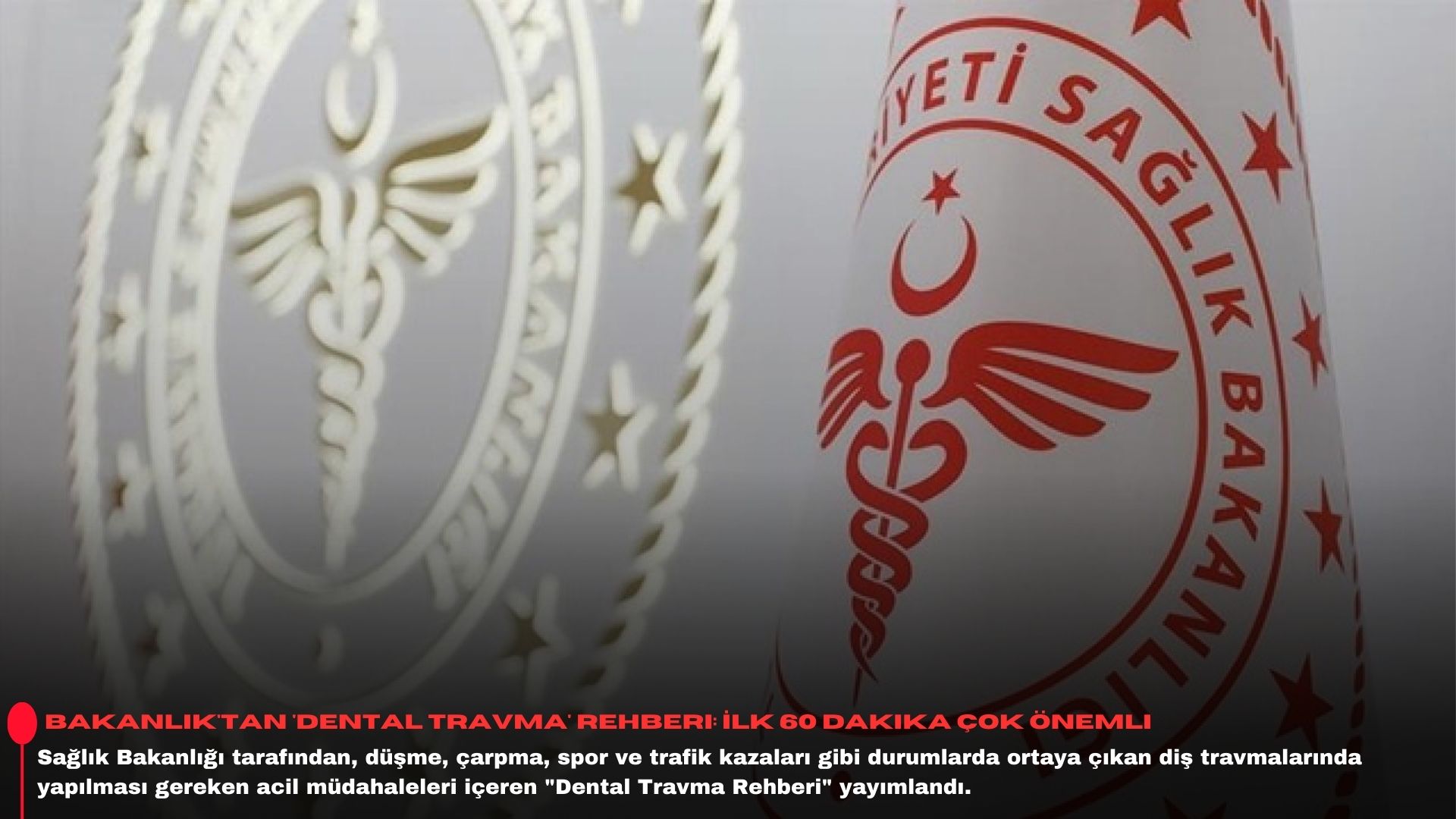 Bakanlık'tan 'dental travma' rehberi: İlk 60 dakika çok önemli