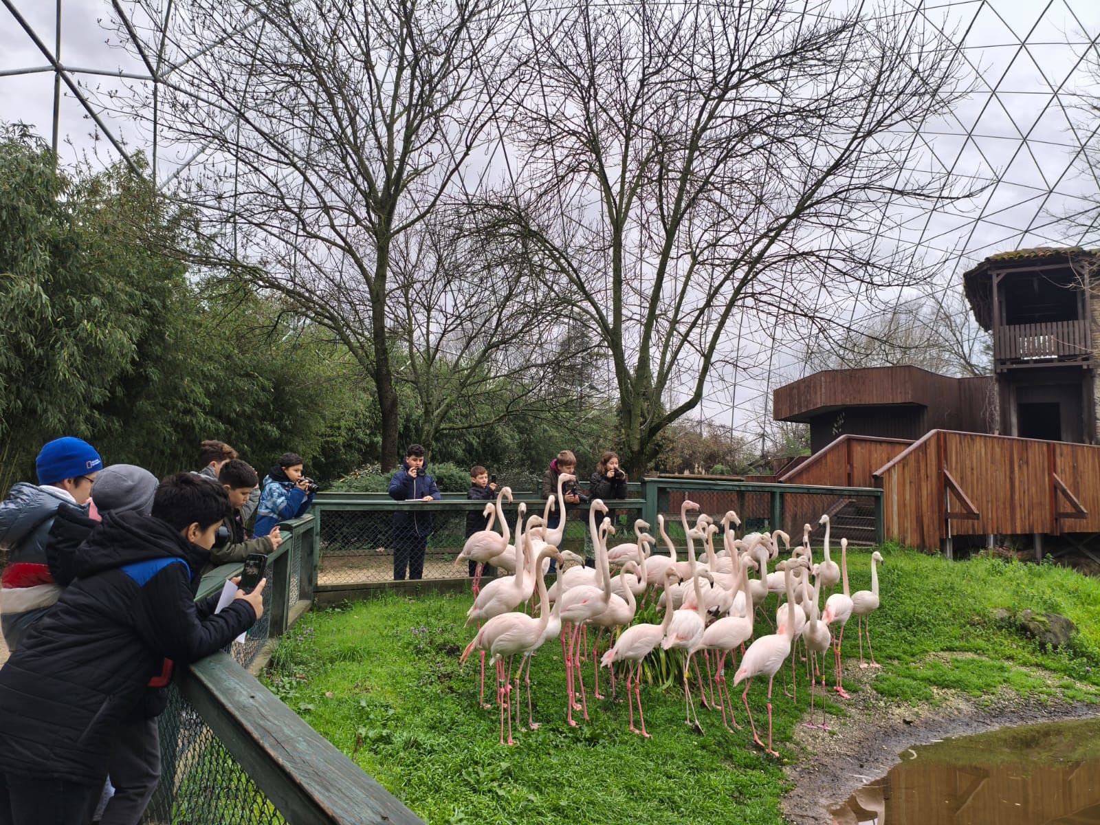 36720 M T Y5 O Dk5 Z D 2