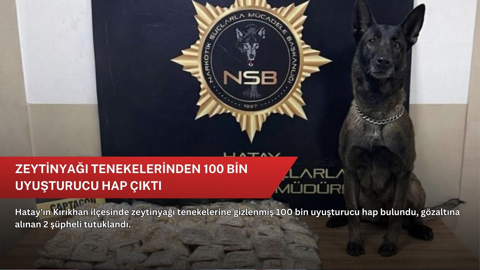 Zeytinyağı tenekelerinden 100 bin uyuşturucu hap çıktı