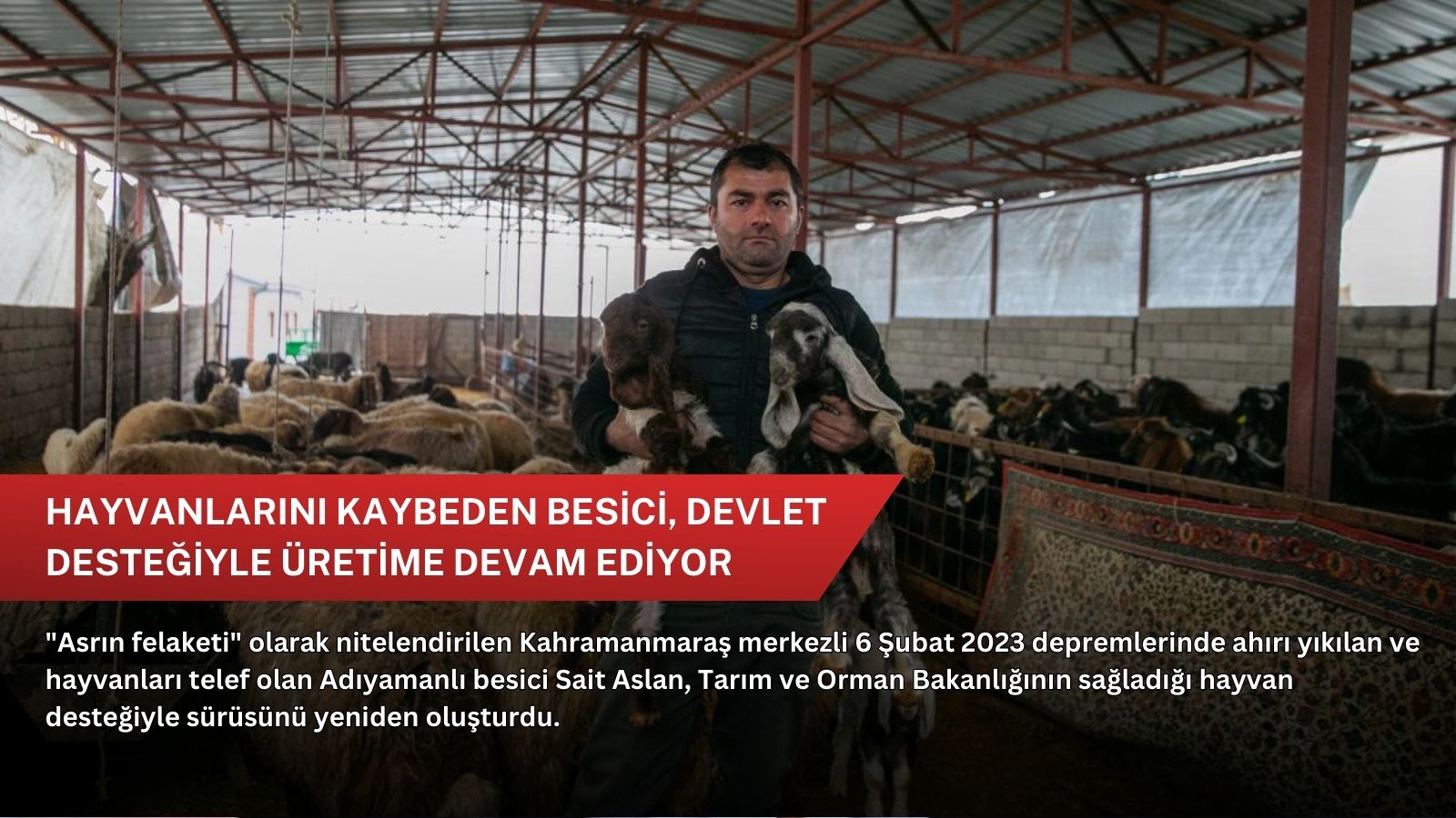 Hayvanlarını kaybeden besici, devlet desteğiyle üretime devam ediyor