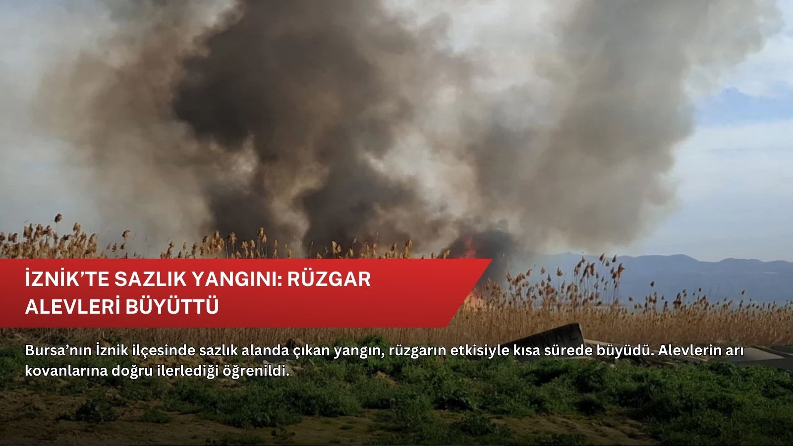 İznik’te sazlık yangını: Rüzgar alevleri büyüttü
