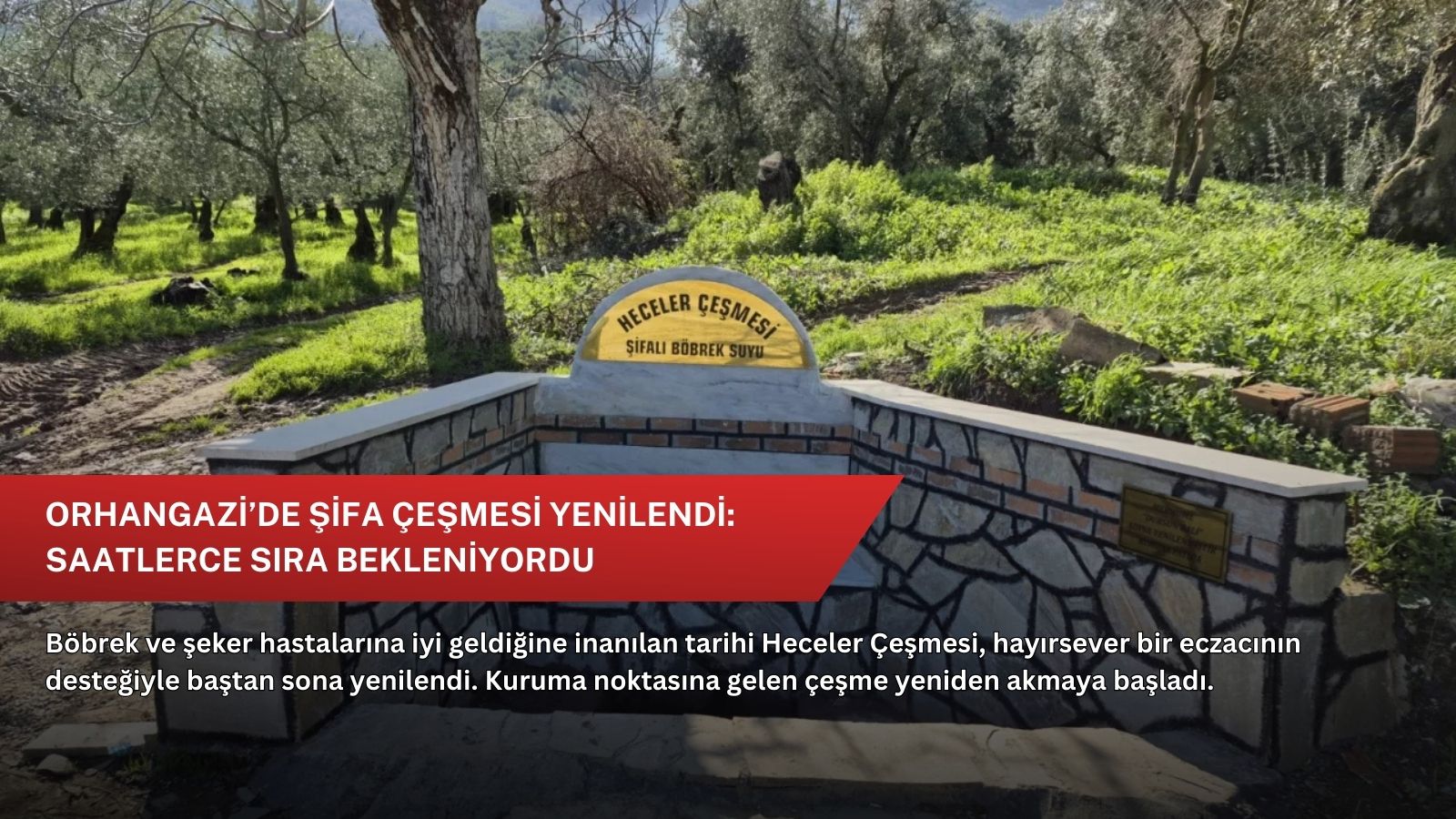 Orhangazi’de şifa çeşmesi yenilendi: Saatlerce sıra bekleniyordu