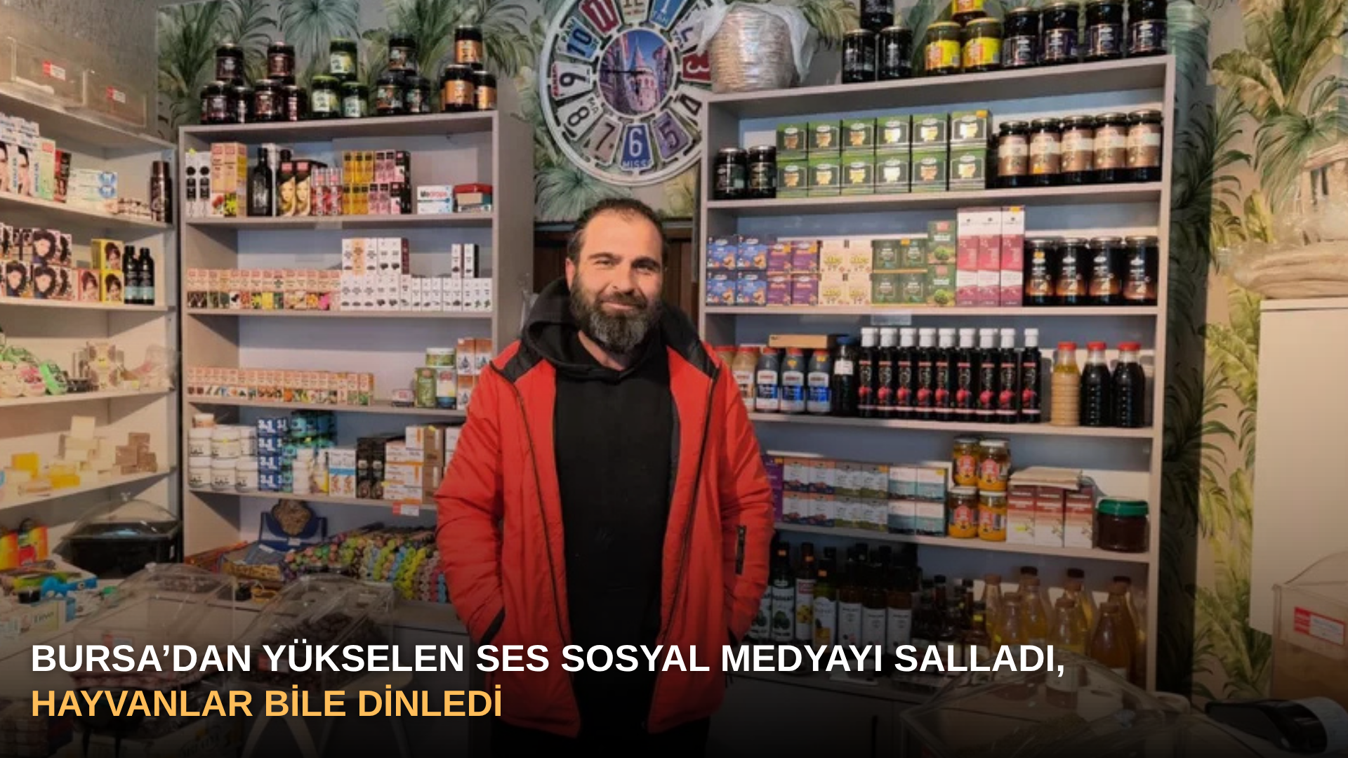 Bursa’dan yükselen ses sosyal medyayı salladı, hayvanlar bile dinledi