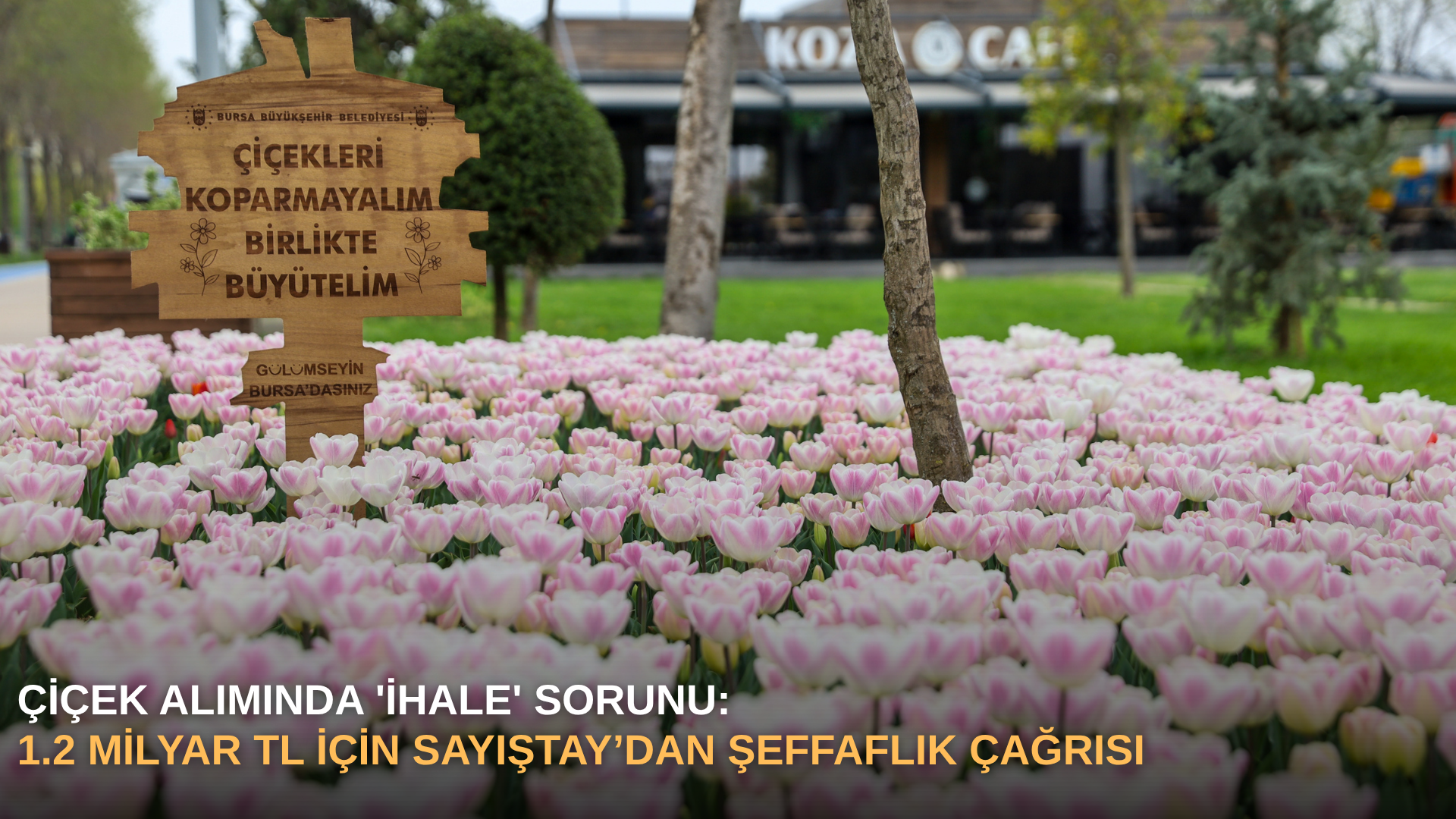 Çiçek Alımında 'İhale' Sorunu: 1.2 Milyar TL İçin Sayıştay’dan Şeffaflık Çağrısı