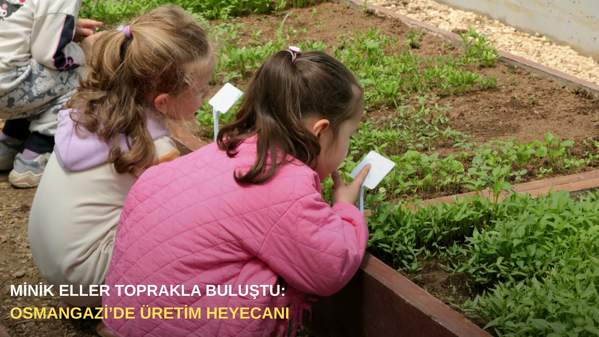 Minik eller toprakla buluştu: Osmangazi’de üretim heyecanı