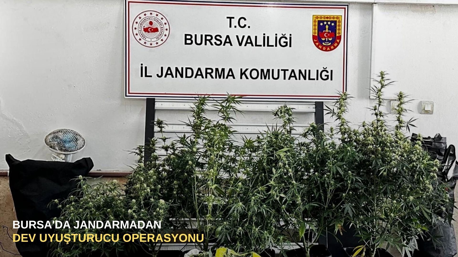 Bursa'da Jandarmadan dev uyuşturucu operasyonu