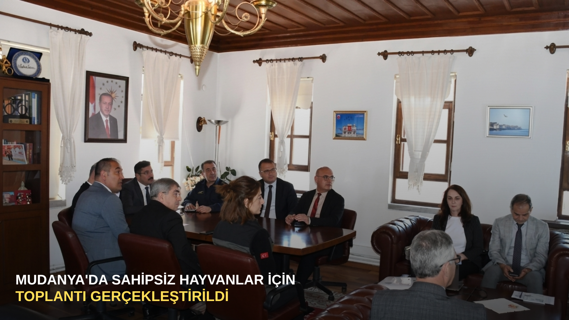 Mudanya'da sahipsiz hayvanlar için toplantı gerçekleştirildi