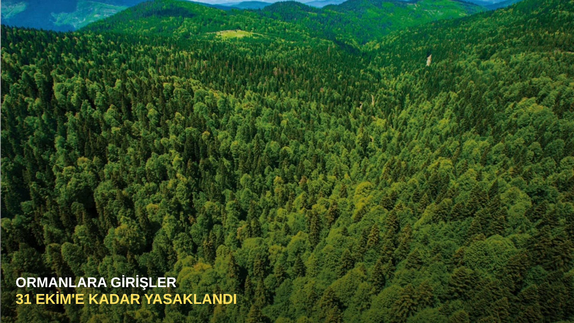 Ormanlara girişler 31 Ekim'e kadar yasaklandı
