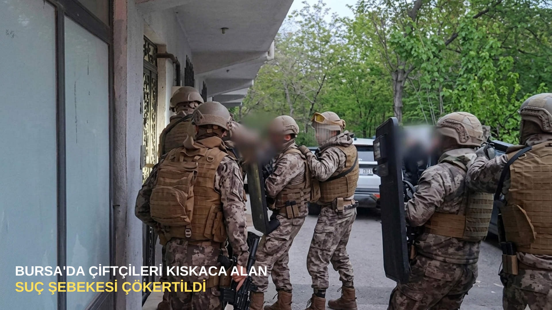 Bursa'da çiftçileri kıskaca alan suç şebekesi çökertildi