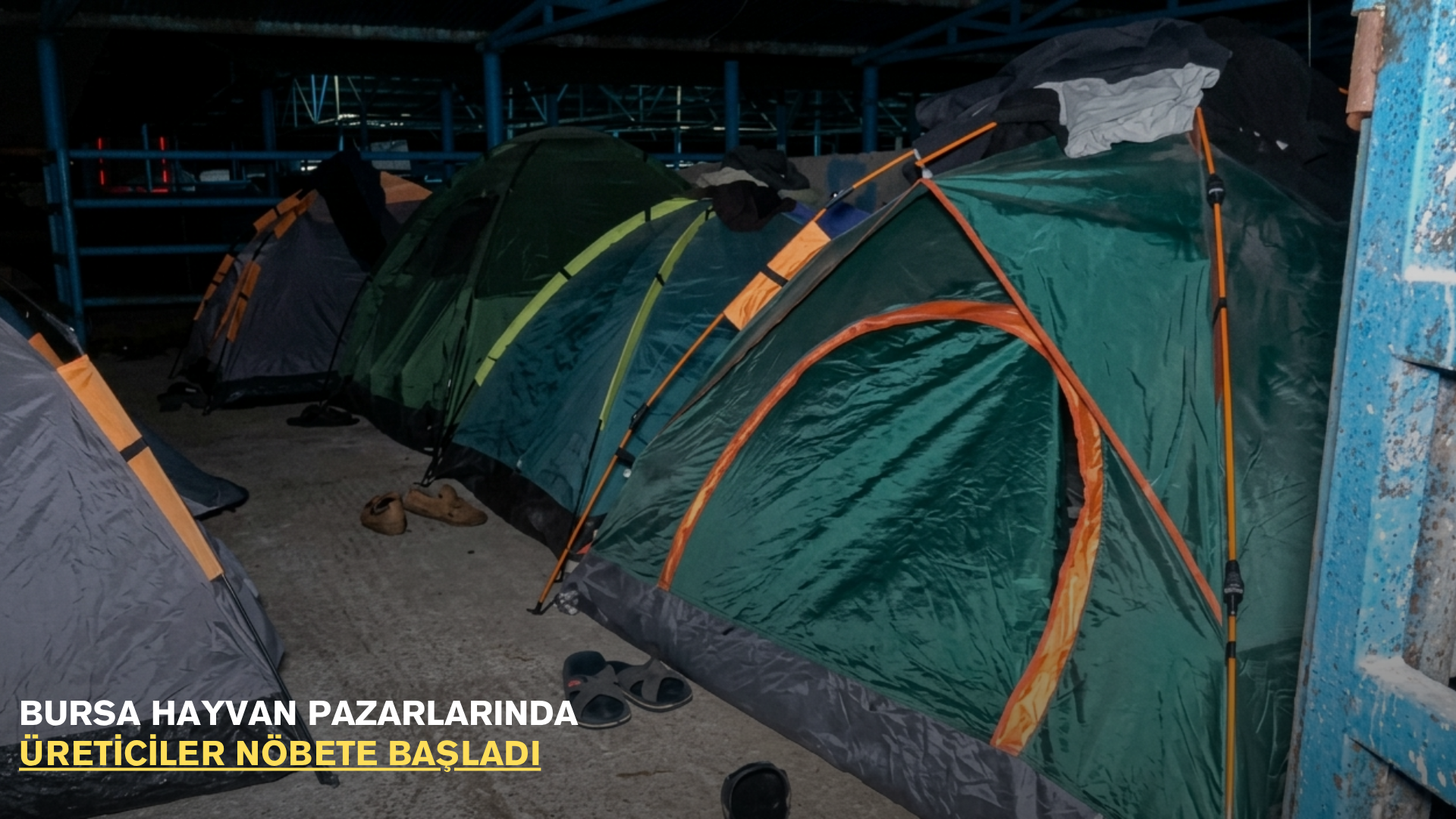 Bursa hayvan pazarlarında üreticiler nöbete başladı