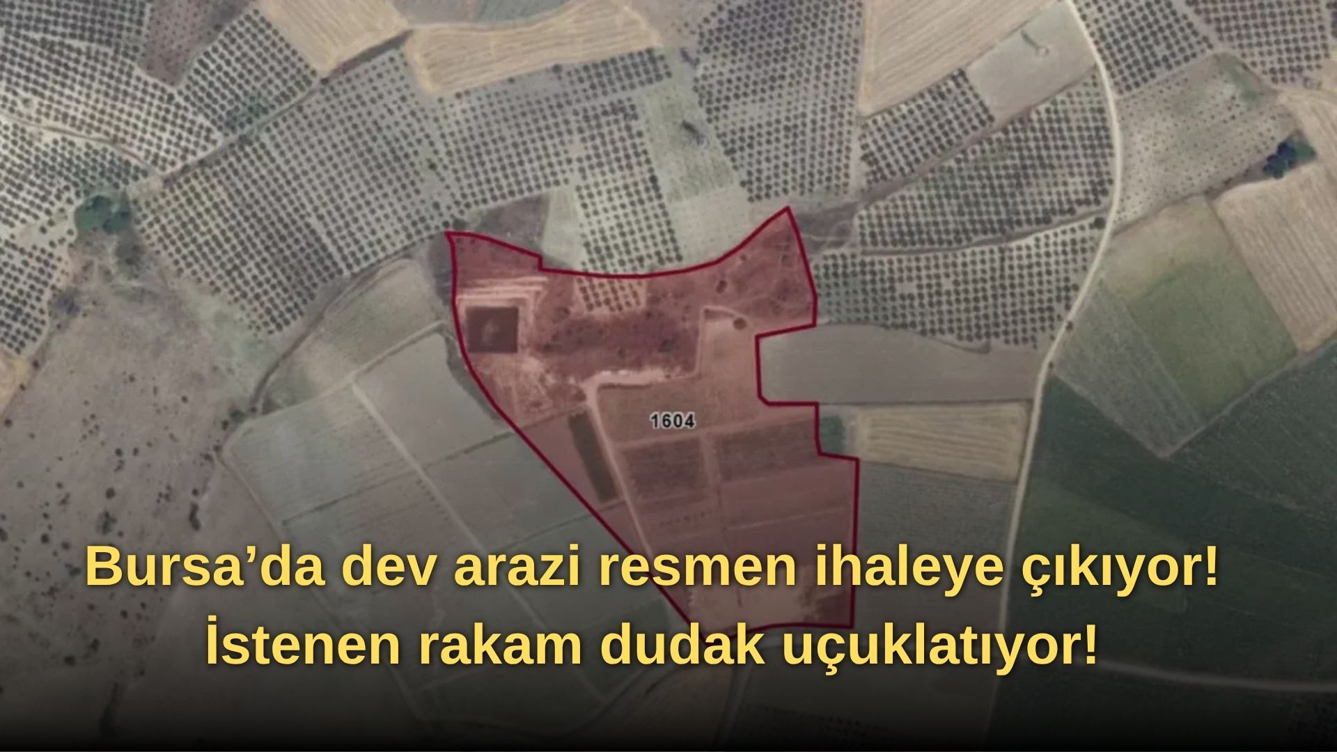 Bursa’da dev arazi resmen ihaleye çıkıyor! İstenen rakam dudak uçuklatıyor!