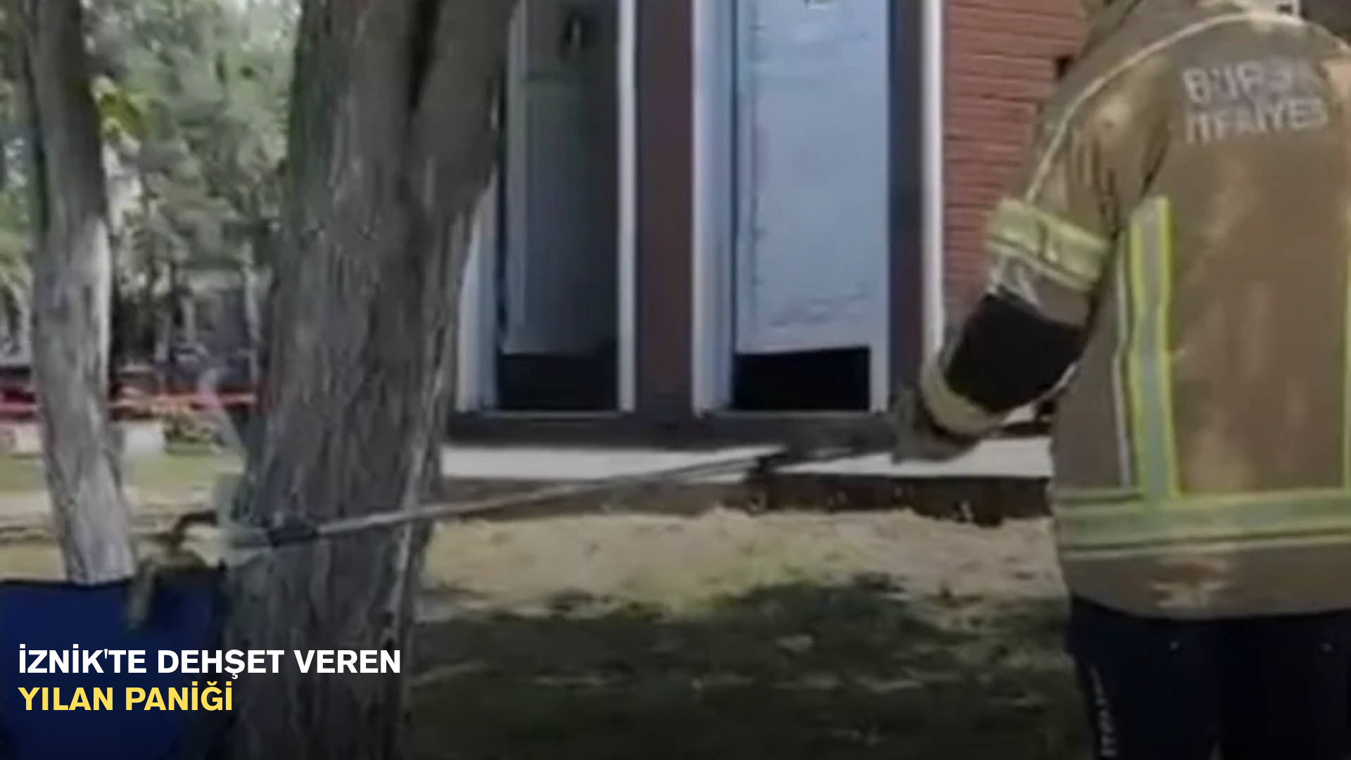İznik'te dehşet veren yılan paniği