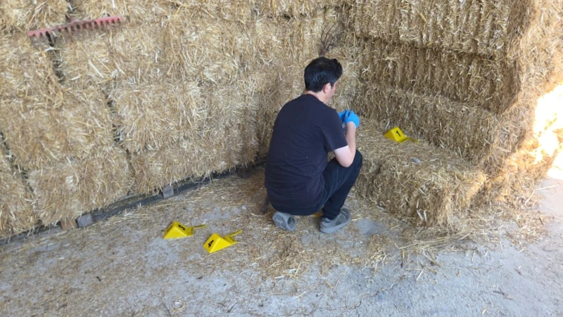 6A8C123Fe3Ca8276 W1200Xh676