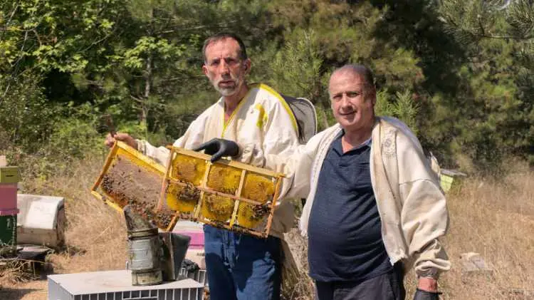 Uludağ eteklerinde yarım asırlık emek