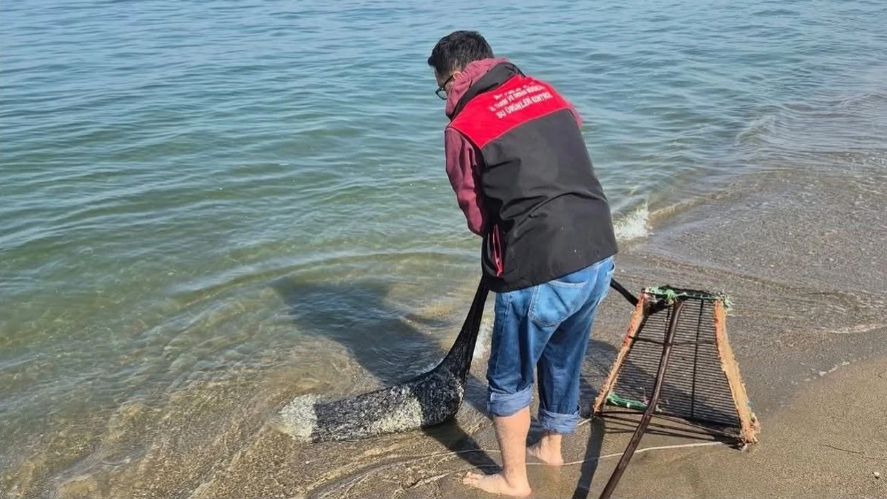 Bursa’da kaçak avcılık denetimi! 2 ton 760 kilo kum şırlanı denize bırakıldı