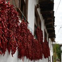 BURSA