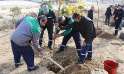 Bursa KAYAPA OSB’ye 1000 adet fidan dikimi