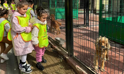 Osmangazi Belediyesi sahipsiz hayvanlar merkezi, küçük hayvanseverlerden büyük ilgi görüyor