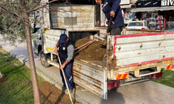 Bursa Gemlik'te çevre düzenleme çalışmaları devam ediyor