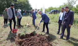 İnegöl’de Çevre Haftasında 150 Fidan Toprakla Buluştu
