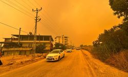Hatay'da ormanlık alanda yangın çıktı