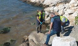 Yalova Belediyesi'ne 1,3 milyon lira çevre cezası