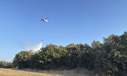Çanakkale ve İzmir'deki orman yangınları kontrol altında