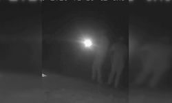 Ormanda bozayı vuran kaçak avcılara 170 bin lira ceza