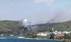 Muğla Bodrum'da orman yangını