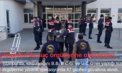İstanbul'da suç örgütlerine operasyon
