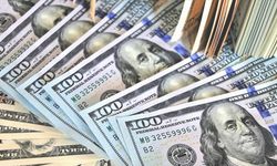 Merkez Bankası döviz rezervleri rekor kırdı