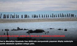 Van Gölü’nde asırlık iskele yeniden göründü