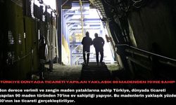 Türkiye dünyada ticareti yapılan yaklaşık 90 madenden 70'ine sahip
