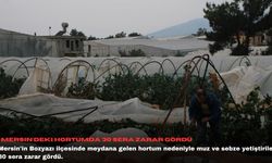 Mersin'deki hortumda 30 sera zarar gördü