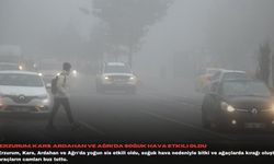 Erzurum, Kars, Ardahan ve Ağrı'da soğuk hava etkili oldu