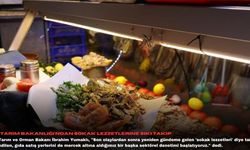 Tarım Bakanlığı'ndan sokak lezzetlerine sıkı takip