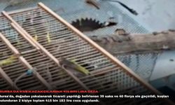Bursa'da kuş kaçakçılarına 415 bin lira ceza