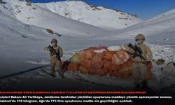 Hakkari'de 378 kilogram, Ağrı'da 773 litre uyuşturucu madde ele geçirildi