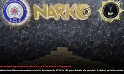 İstanbul'da 175 kilodan fazla kokain ele geçirildi