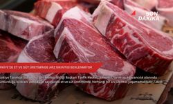 Türkiye'de et ve süt üretiminde arz sıkıntısı beklenmiyor