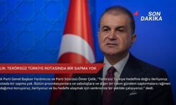 Çelik: Terörsüz Türkiye rotasında bir sapma yok