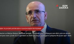 Şimşek: Yıllık enflasyon son 4 yılın en düşük seviyesinde