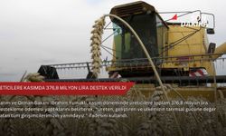 Üreticilere kasımda 376,8 milyon lira destek verildi