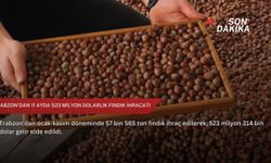 Trabzon’dan 11 ayda 523 milyon dolarlık fındık ihracatı