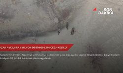 Kaçak avcılara 1 milyon 96 bin 69 lira ceza kesildi