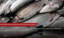 Doğu Karadeniz'in Türk somonu ihracatı 164 milyon doları aştı