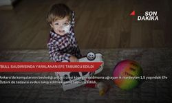 Pitbull saldırısında yaralanan Efe taburcu edildi