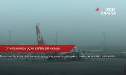 Diyarbakır'da uçak seferleri aksadı