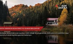 2025'in tarihin en sıcak ikinci yılı olması bekleniyor